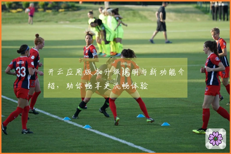 开云应用版本升级说明与新功能介绍，助你畅享更流畅体验