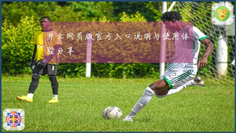 开云网页版官方入口说明与使用体验分享